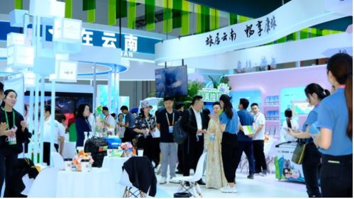 旅居云南的惬意生活 云南康旅集团持续布局南博会展服务