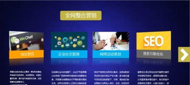 全网络服务十五年 保定电商发展的隐形引擎